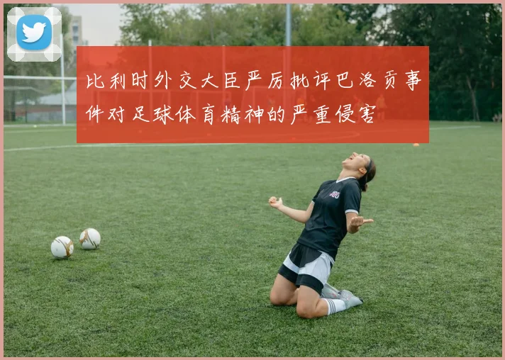 比利时外交大臣严厉批评巴洛贡事件对足球体育精神的严重侵害